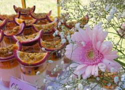 IMG-20250608-WA0048